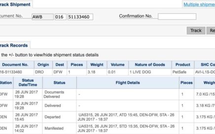 Track your Biewer Puppy on the Airplane