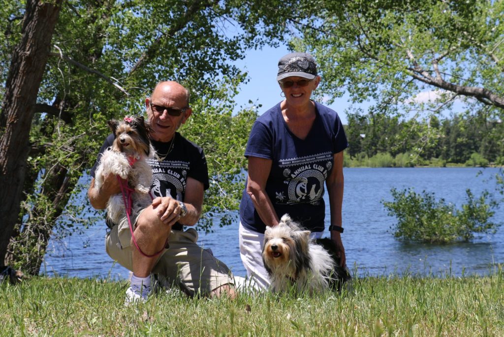 Biewer Terrier