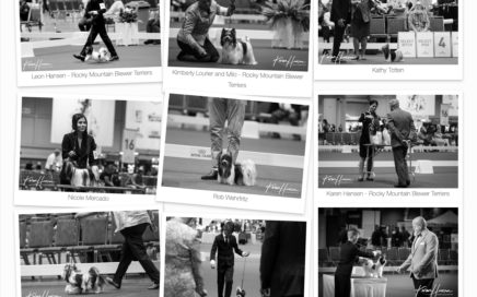 Photo Gallery