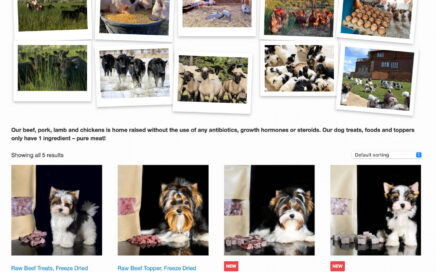 Home Made Treats for Biewer Terriers and other little dogs
