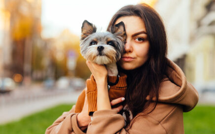 Biewer Terrier Emotional Support Animals