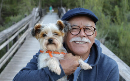 Biewer Terrier Therapy Dogs