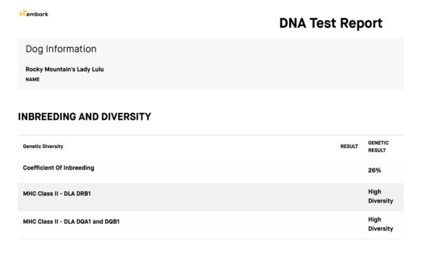 Rocky Mountain's Lady Lulu Biewer Terrier Diversity Test Result