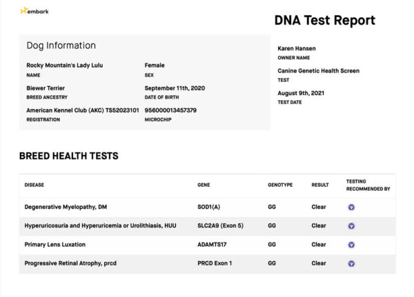 Rocky Mountain's Lady Lulu Biewer Terrier OFA Health Test results